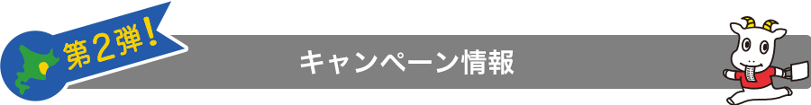 キャンペーン情報