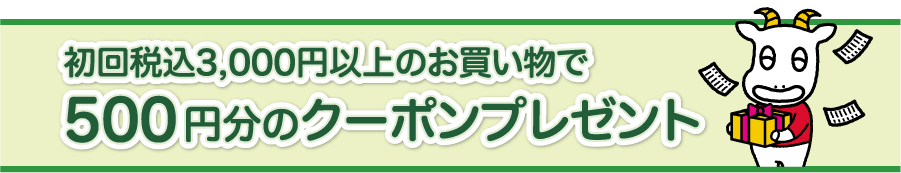 初回税込3,000円以上のお買い物で500円分のクーポンプレゼント